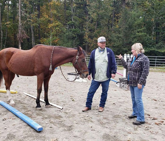 Equine-Assisted Learning (EAL)